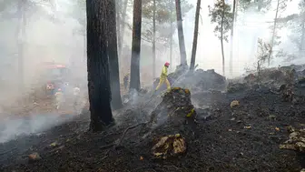 Muğla için orman yangını alarmı verildi
