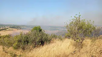 Balıkesir'de orman sınırındaki yangın paniği havadan ve karadan durduruldu