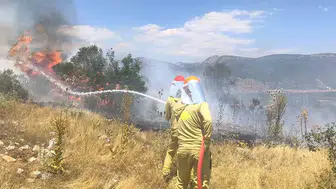 Menteşe ormanlarında yangın paniği