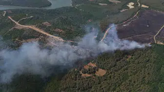 Tekirdağ'da anız yangını ormana sıçradı