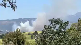 Susurluk kaplıca mevkiinde orman yangını paniği