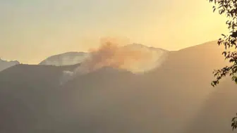 Kozan ormanlarında alevler yükseliyor