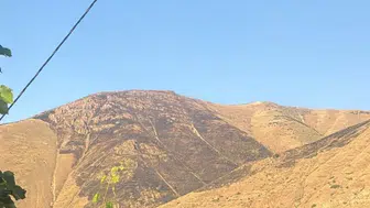 Nimri Dağı'nda 15 saat süren yangın korku dolu anlar yaşattı