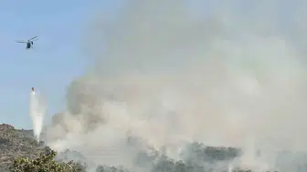 Eşme’de meşelik alanda yangın alarmı