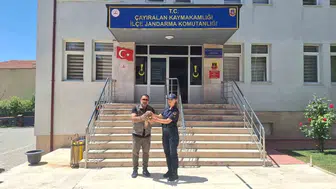 Yozgat kırsalında yaralı bulunan şahin kurtarıldı