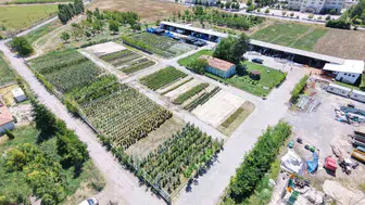 Battalgazi Belediyesi kendi bitkisini üreterek bütçeyi koruyor