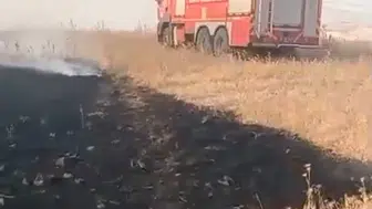 Batman'da alevler 150 dönümü küle çevirdi