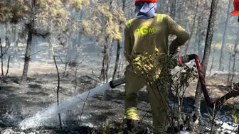 Kastamonu ormanlarındaki yangın kontrol altına alındı