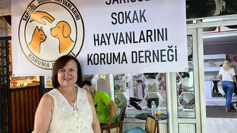 Sarıgöl sokaklarında hayvanlar için yeni bir dönem başlıyor