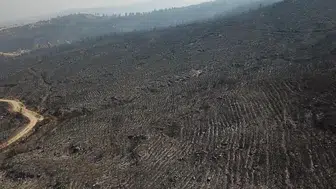 Seydikemer yangınında kül olan ormanlar havadan görüntülendi