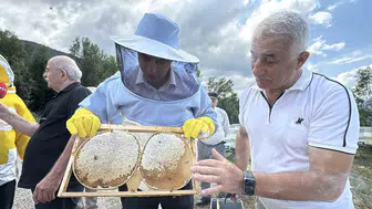 Yenice ıhlamur balı sezonu açıldı