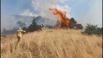 Bingöl Genç kırsalında çıkan yangın büyümeden durduruldu