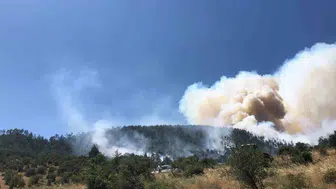 Kepsut ormanlarında korkutan dumanlar yükseliyor