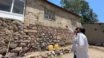 Yüksekova’da bir ev yılanların istilasına uğradı