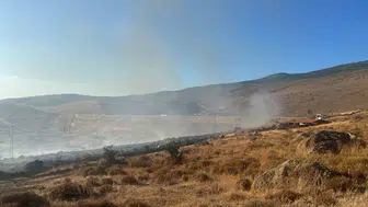 Aliağa'da otluk alanda yükselen alevler korkuttu