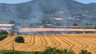 Gemlik Serbest Bölge yakınında korkutan otluk yangını