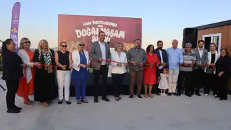 Ataşehir’de 240 sokak köpeğine yeni yuva açıldı