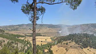 Balıkesir Dursunbey ormanlık alanında yangın paniği