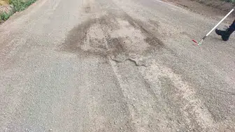 Sivas’ta odunluğa giren yılan paniği