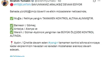 Muğla ormanlarındaki yangın kabusu bitti