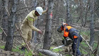 Palandöken ormanlarında yeni dönem başlıyor