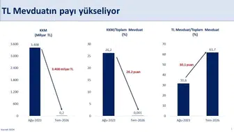Türk Lirası mevduatları son 11 yılın zirvesine tırmandı