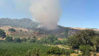 Muğla Kavaklıdere ormanlarında yangın alarmı