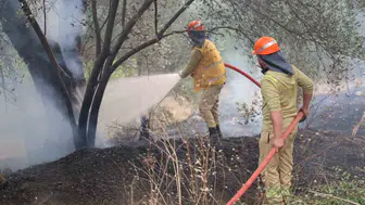 Fethiye orman yangınında kritik aşama geçildi