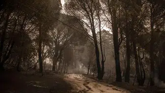 Fransa ve İspanya yangınlarla boğuşuyor
