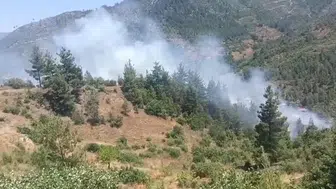 Feke ormanlarında dumanlar yükseliyor