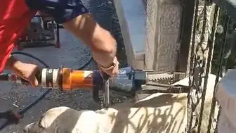 Tokat'ta demir kapıya sıkışan köpeğin imdadına itfaiye yetişti