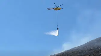 Söke'de yerleşim yerlerine sıçrayan yangın paniği