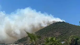Balıkesir ormanlarında yükselen dumanlar ekipleri harekete geçirdi