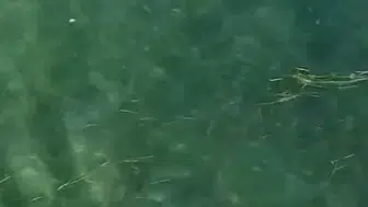 Erdek'te boğulan kişiyi dron operatörü kurtardı