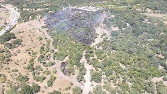 Ayvacık ormanlarında korkutan yangın kısa sürede söndürüldü