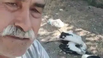 Çankırı'da bahçesindeki leylekleri ölü bulan adamın acı dolu anları