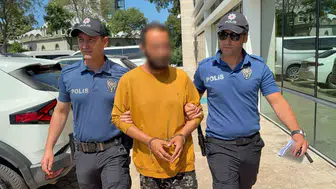 Samsun’da kediye tekme atan saldırgan cezaevine gönderildi