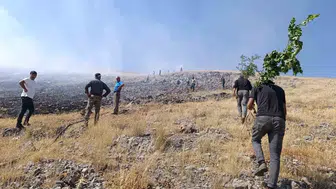 Malatya Doğanşehir’de alevler dağlık alana sıçradı