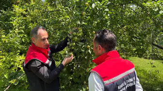 Sarıkamış'ta meyve hasadını ikiye katlayacak 5 kritik adım