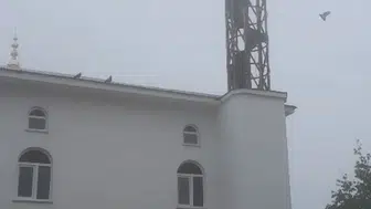 Trabzon'da bir imam minare yıkımını güvercinler için durdurdu