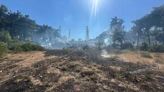 Manavgat ormanlarındaki yangının sebebi elektrik hattı çıktı