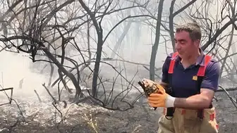 Bingöl’deki anız yangınında itfaiyeden hayat kurtaran müdahale