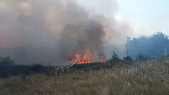 Muğla’da kaynak makinesi yangını ormana sıçrattı
