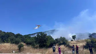 Çanakkale Ayvacık'ta orman yangını kısa sürede söndürüldü
