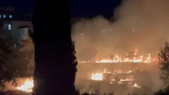 Adıyaman'da bahçeleri tehdit eden yangın büyümeden durduruldu