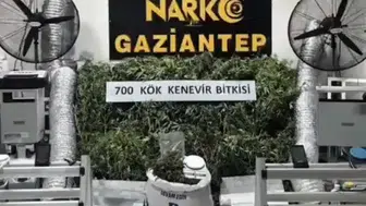 Gaziantep'te iş yeri görünümlü uyuşturucu serası çökertildi