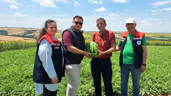 Hayrabolu tarlalarında yazın müjdecisi karpuz hasadı başladı