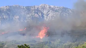 Alanya Sapadere'de orman yangını paniği