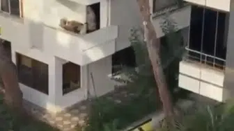 Maltepe'de mahalleli şiddet şüphesiyle sokağa döküldü