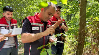Edirne tarlalarını korumak için 728 samuray arıcığı göreve başladı